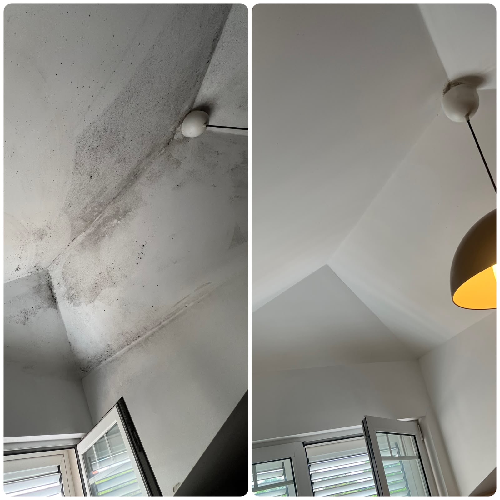 Teto — remoção de bolor — antes e depois